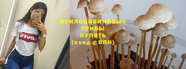 мескалин Баксан